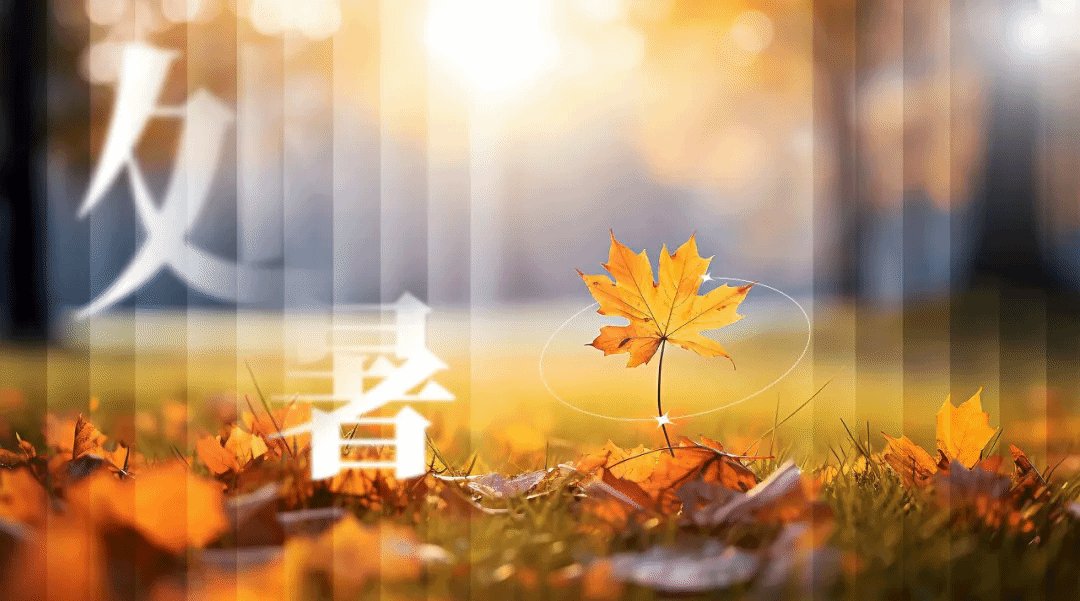 邮编：050000